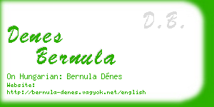 denes bernula business card
